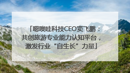 嗯噢哇科技CEO窦飞鹏：共创旅游专业能力认知平台，激发行业“自生长”力量