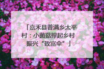 嘉禾县普满乡太平村：小菌菇撑起乡村振兴“致富伞”