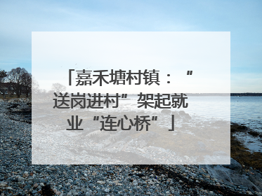 嘉禾塘村镇：“送岗进村”架起就业“连心桥”