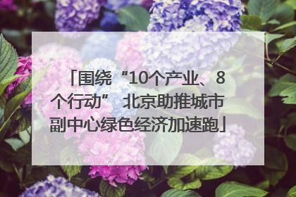 围绕“10个产业、8个行动” 北京助推城市副中心绿色经济加速跑