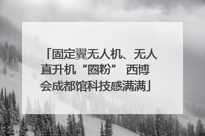 固定翼无人机、无人直升机“圈粉” 西博会成都馆科技感满满