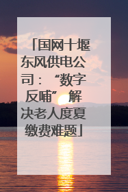 国网十堰东风供电公司：“数字反哺” 解决老人度夏缴费难题
