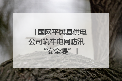 国网平舆县供电公司筑牢电网防汛“安全堤”