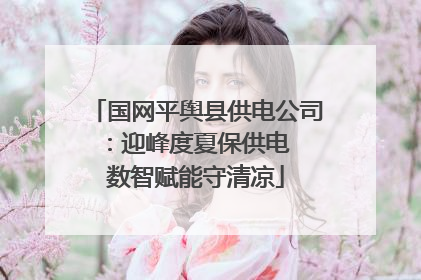 国网平舆县供电公司：迎峰度夏保供电  数智赋能守清凉