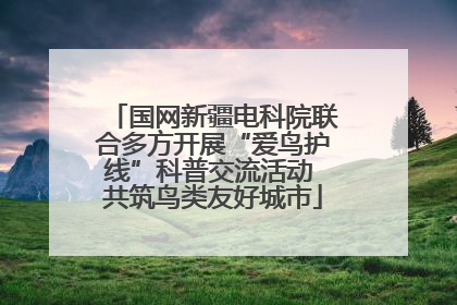 国网新疆电科院联合多方开展“爱鸟护线”科普交流活动 共筑鸟类友好城市