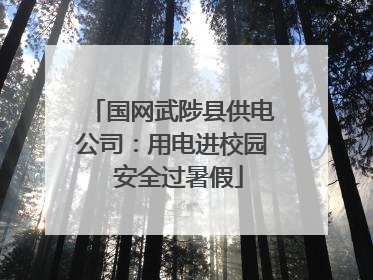 国网武陟县供电公司：用电进校园  安全过暑假