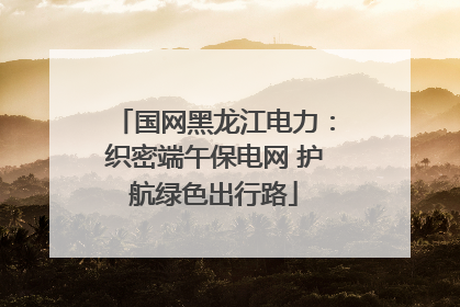国网黑龙江电力：织密端午保电网 护航绿色出行路