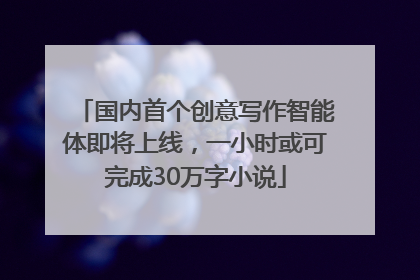 国内首个创意写作智能体即将上线，一小时或可完成30万字小说