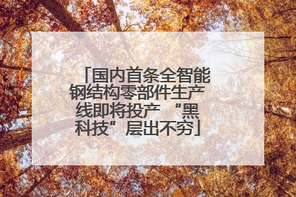 国内首条全智能钢结构零部件生产线即将投产 “黑科技”层出不穷
