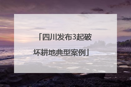 四川发布3起破坏耕地典型案例