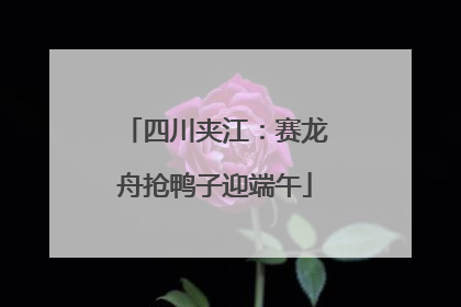 四川夹江：赛龙舟抢鸭子迎端午