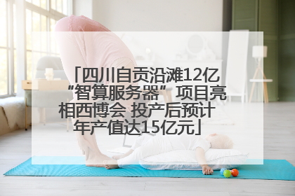 四川自贡沿滩12亿“智算服务器”项目亮相西博会 投产后预计年产值达15亿元