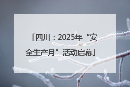 四川：2025年“安全生产月”活动启幕