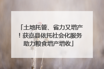 土地托管、省力又增产！获嘉县依托社会化服务助力粮食增产增收