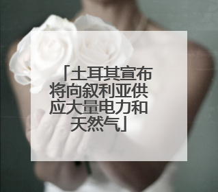 土耳其宣布将向叙利亚供应大量电力和天然气