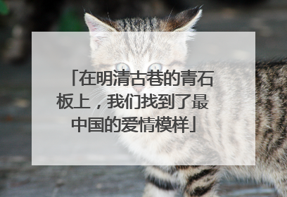 在明清古巷的青石板上，我们找到了最中国的爱情模样