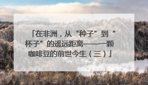 在非洲，从“种子”到“杯子”的遥远距离——一颗咖啡豆的前世今生（三）