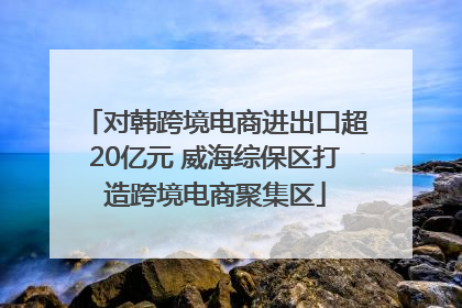 对韩跨境电商进出口超20亿元 威海综保区打造跨境电商聚集区