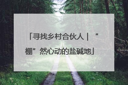 寻找乡村合伙人｜“棚”然心动的盐碱地