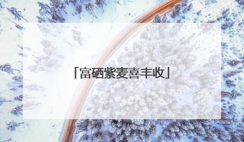富硒紫麦喜丰收
