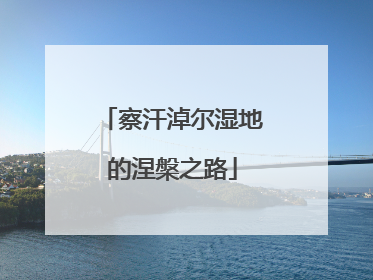 察汗淖尔湿地的涅槃之路