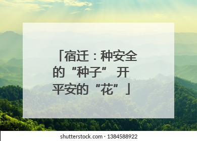 宿迁：种安全的“种子” 开平安的“花”