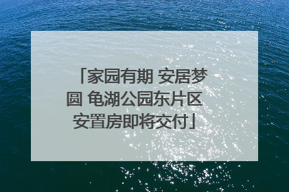 家园有期 安居梦圆 龟湖公园东片区安置房即将交付