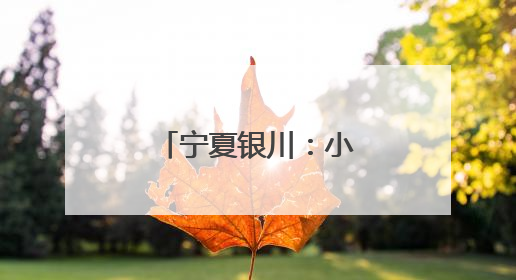 宁夏银川：小暑戏水享清凉