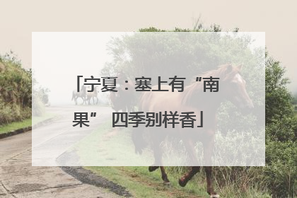 宁夏：塞上有“南果” 四季别样香