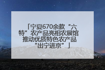 宁夏670余款“六特”农产品亮相农展馆 推动优质特色农产品“出宁进京”