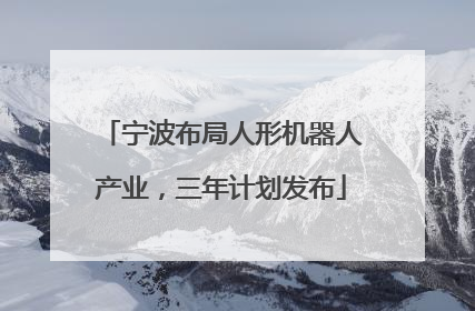 宁波布局人形机器人产业，三年计划发布