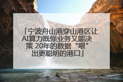 宁波舟山港穿山港区让AI算力既懂业务又能决策 20年的数据“喂”出更聪明的港口
