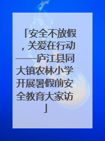 安全不放假，关爱在行动——庐江县同大镇农林小学开展暑假前安全教育大家访