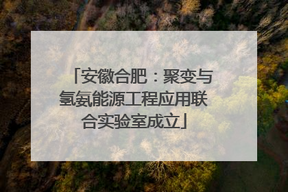 安徽合肥：聚变与氢氨能源工程应用联合实验室成立