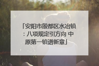 安阳市殷都区水冶镇：八项规定引方向 中原第一镇谱新章