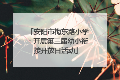安阳市梅东路小学：开展第三届幼小衔接开放日活动