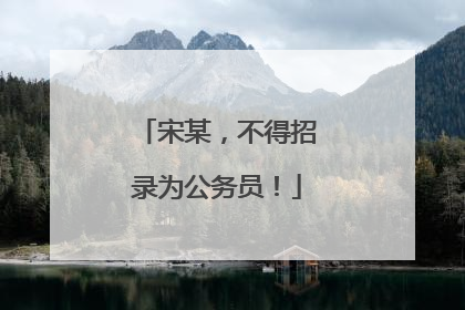 宋某，不得招录为公务员！