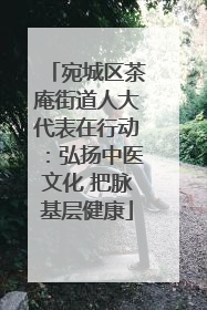 宛城区茶庵街道人大代表在行动：弘扬中医文化 把脉基层健康