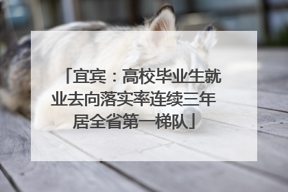 宜宾：高校毕业生就业去向落实率连续三年居全省第一梯队