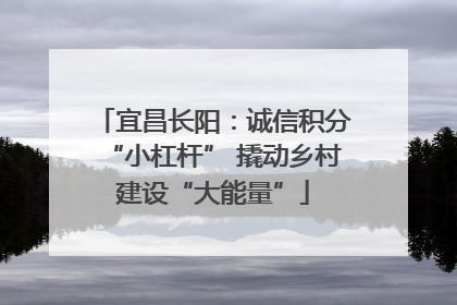宜昌长阳：诚信积分“小杠杆” 撬动乡村建设“大能量”