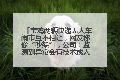 宝鸡两辆快递无人车闹市互不相让，网友称像“吵架”，公司：监测到异常会有技术或人为干预处置