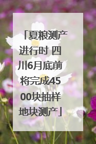 夏粮测产进行时 四川6月底前将完成4500块抽样地块测产