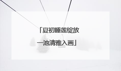 夏初睡莲绽放 一池清雅入画