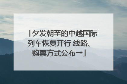 夕发朝至的中越国际列车恢复开行 线路、购票方式公布→