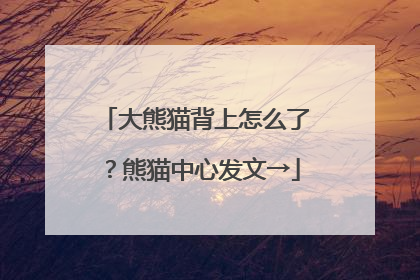 大熊猫背上怎么了？熊猫中心发文→