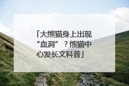 大熊猫身上出现“血洞”？熊猫中心发长文科普