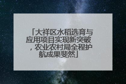 大祥区水稻选育与应用项目实现新突破，农业农村局全程护航成果斐然
