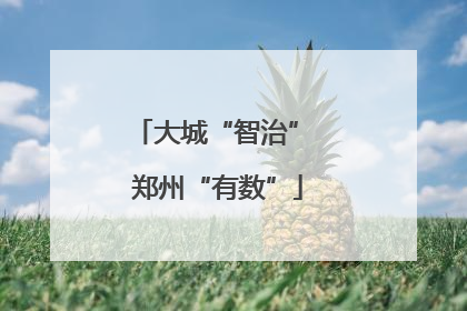 大城“智治” 郑州“有数”