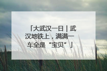 大武汉一日｜武汉地铁上，满满一车全是“宝贝”