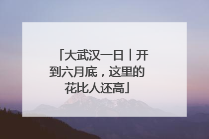 大武汉一日︱开到六月底，这里的花比人还高